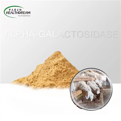 Alfa-galactosidase-enzym